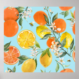 Poster Frutas de Citros de Aquarelas: Desenhados à Mão