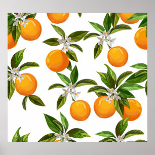 Poster Frutas de Citros: Ilustração Digital Vintage
