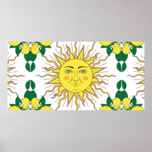 Poster Frutas de limão de citrinos tropicais com armaç