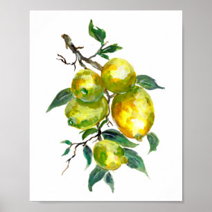 Poster Frutas de limão de uma ramificação de árvore
