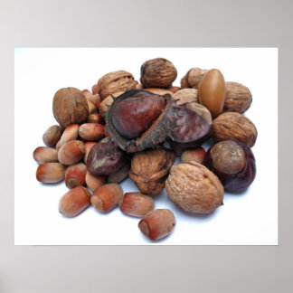 Poster Frutas de outono