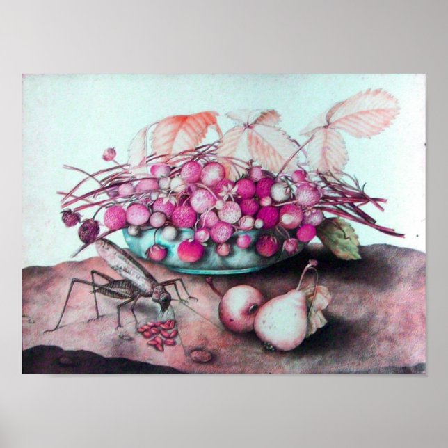 POSTER FRUTAS/MALHAS E PERAS DA SEASON (Frente)