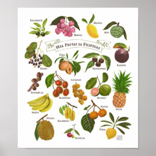 Poster Frutas nas Filipinas