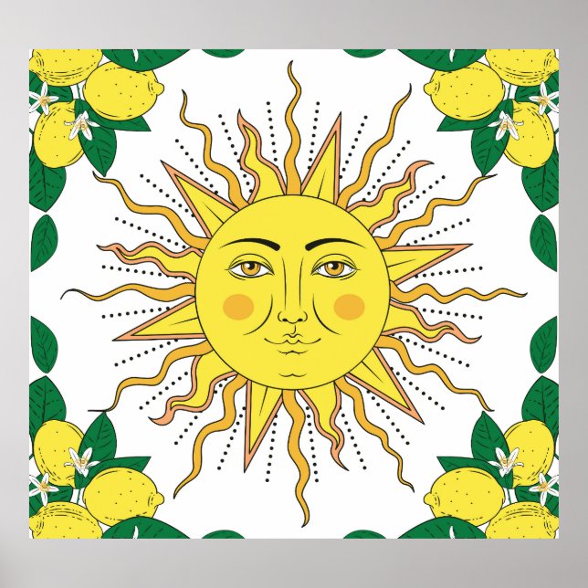 Poster Frutas Tropicais De Limão, Face Solar. (Frente)