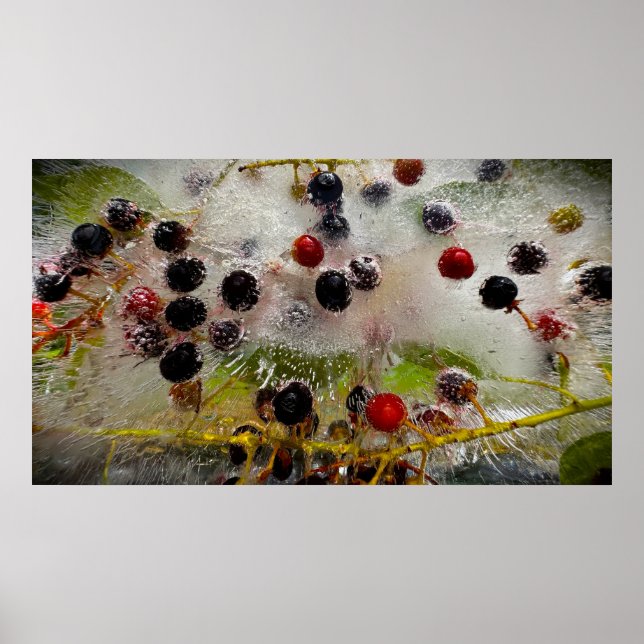Poster Frutas Vermelhas Congeladas,  (Frente)