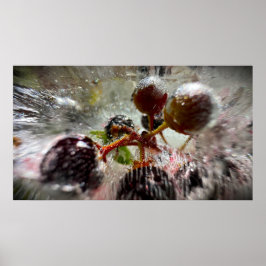 Poster Frutas Vermelhas Congeladas,