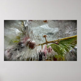 Poster Frutas Vermelhas Congeladas,