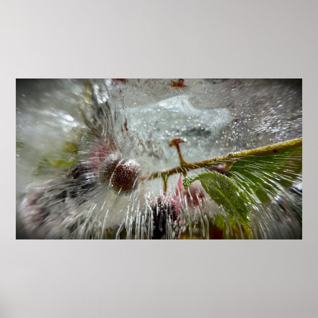 Poster Frutas Vermelhas Congeladas,  (Frente)