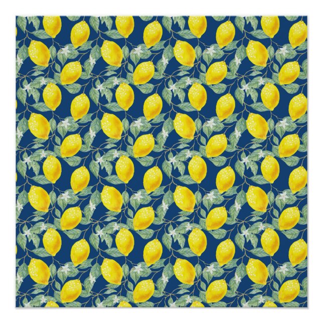 PÓSTER FRUTOS DE LIMÃO NO AZUL PAÍS (Frente)