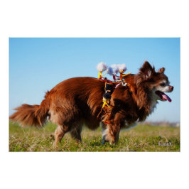 Póster Fubby's die paardrijden op hun honden vriendje.