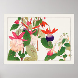 Poster Fuchsia, Flores Vermelhas Púrpuras Rosa, Tanigami 