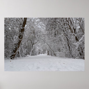 Póster Fuga nevado