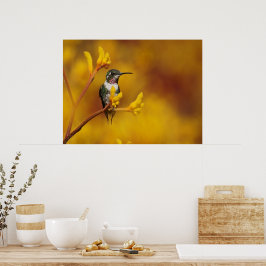 Póster Fulgor dourado