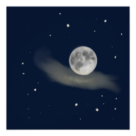 Póster Full moon night