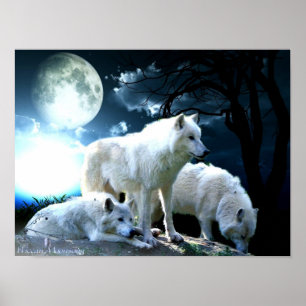 Póster Full Wolf Moon Large