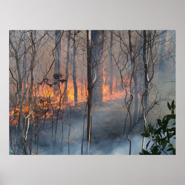 Póster Fumaça de Queima (Frente)