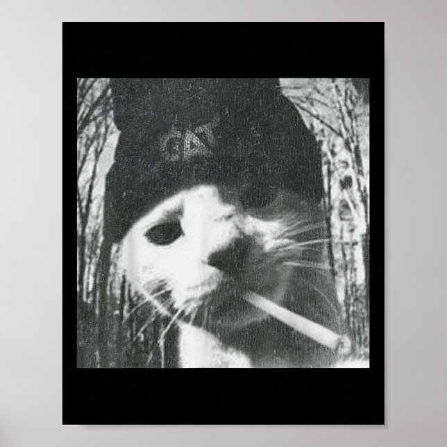 Poster Fumando a Cat Beanie Meme Grunge Estética Engraçad (Frente)