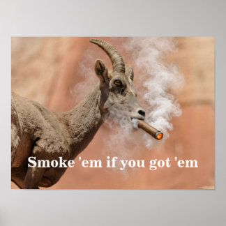 Poster Fume-os Se Você os Tiver