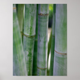 Poster Fundo Bamboo Zen Natural Modelo Personalizado