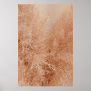 Poster Fundo Castanho