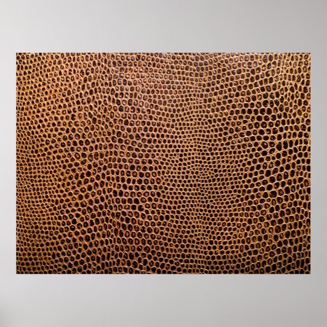 Poster fundo de couro escuro (Frente)