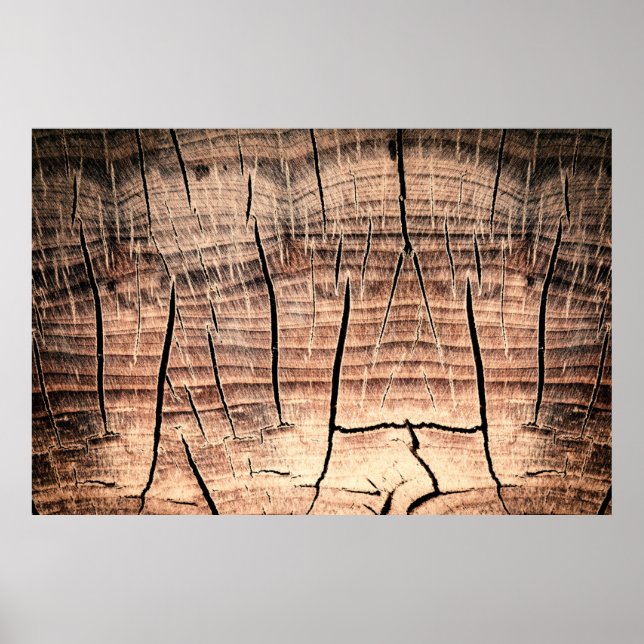 Poster fundo de madeira estumpabstract, idade, envelhecim (Frente)