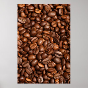 Póster fundo do feijão de café