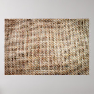 Poster Fundo do hanssiano 