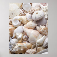Fundo do Mar da Flórida - Prateleiras Personalizad