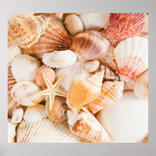 Poster Fundo do mar: tema marinho.