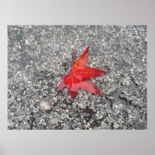 Poster Fundo do zoom do escritório da folha vermelha'-