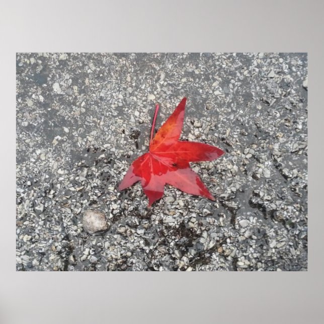 Poster Fundo do zoom do folha vermelha'- (Frente)