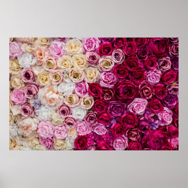 Poster Fundo rosas (Frente)