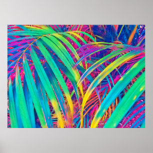 Poster Fundo tropical de textura de folha de palma. Palm 