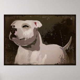 Póster Fundo urbano branco de Staffordshire bull terrier