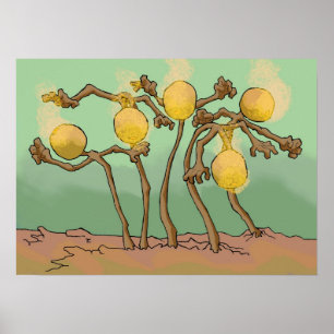 Póster fungo do japonês-lanterna-limo