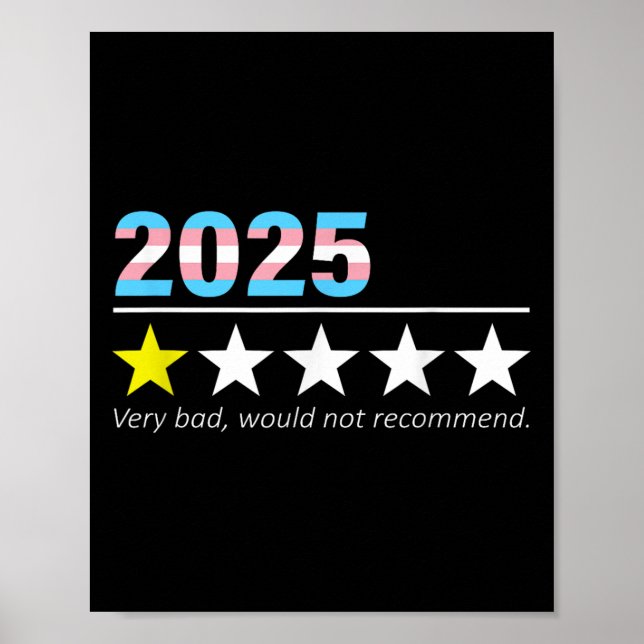 Poster Funny 2025 Very Bad Would Not Recommend  (Frente)
