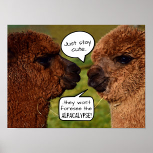 Póster Funny Alpaca Alpacalypse Scheming