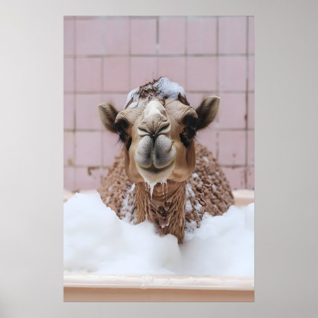 Poster Funny Camel Bubble Bath Art, Whimsical Animal (Frente)