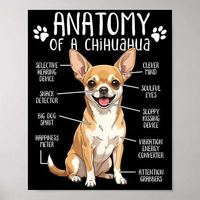 Poster Funny Chihuahua Anatomy Of A Chihuahua Dog Owner P (Frente)