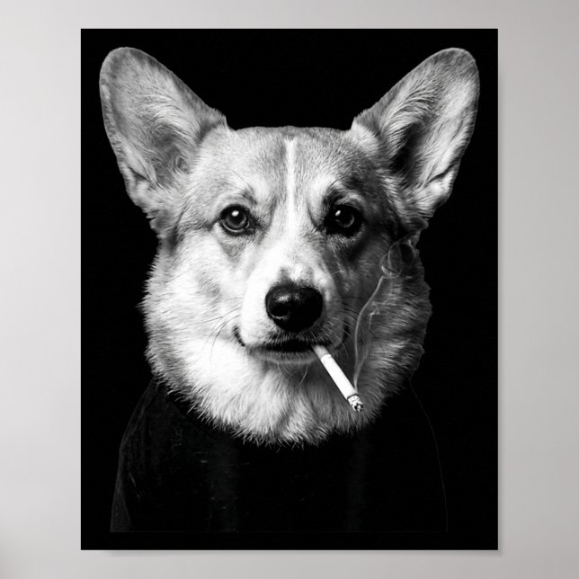 Poster Funny corgi dog smoking meme smoking dog cigarette (Frente)