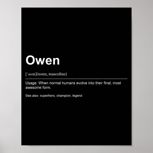 Poster Funny Definition Quote For The Name Owen _  (Frente)