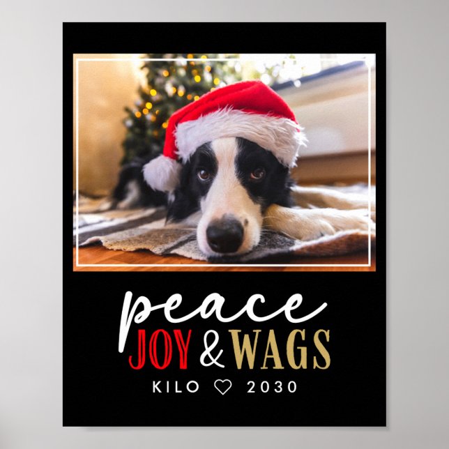 Poster Funny Dog Lover Christmas Photo Cute D  (Frente)