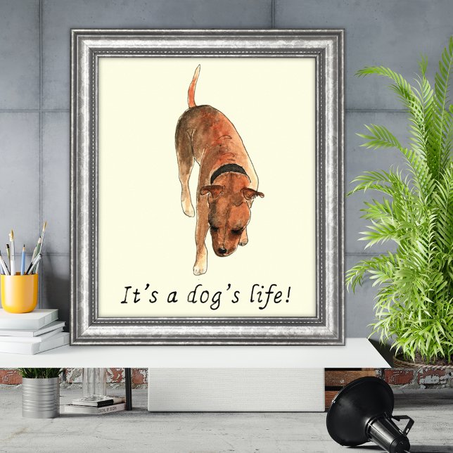 Poster Funny Dogs life Staffordshire Bull Terrier Art (Its a dogs life quote and watercolor Staffordshire bull terrier poster)