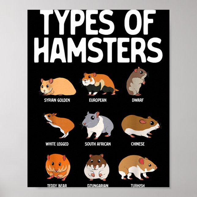 Poster Funny Hamster Art For Men Women Boys Girls Hamster (Frente)