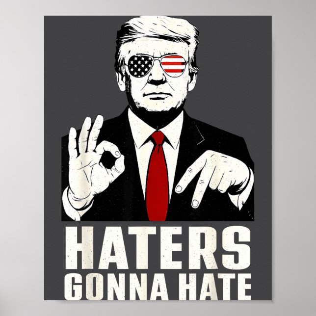 Poster Funny Haters Gonna Hate 6 7 President 67 Trump Six (Frente)