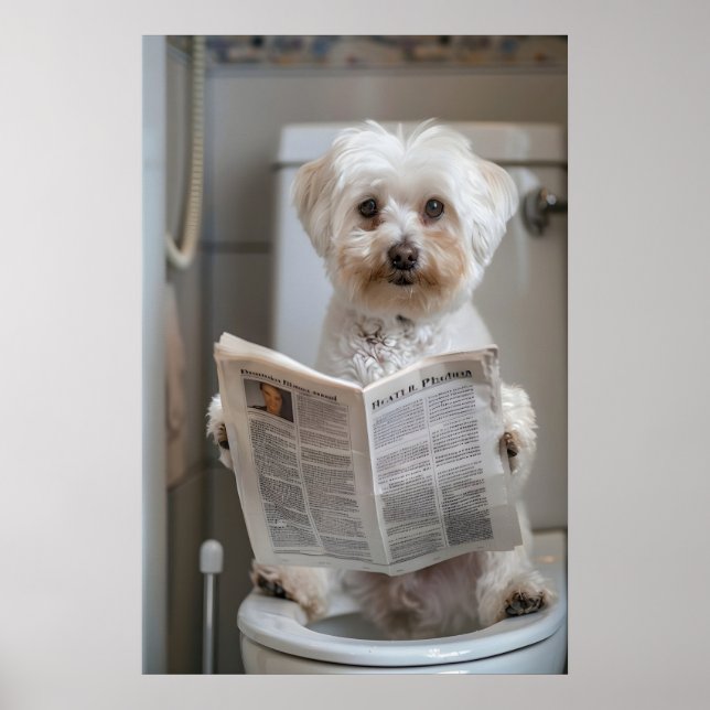 Poster Funny Havanese Dog Print, Bathroom Newspaper Art (Frente)