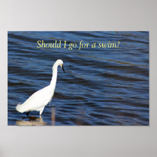 Poster Funny Heron