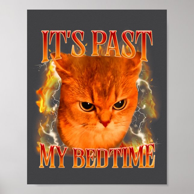 Poster Funny It's Past My Bedtime Cat Meme Animals Humor  (Frente)