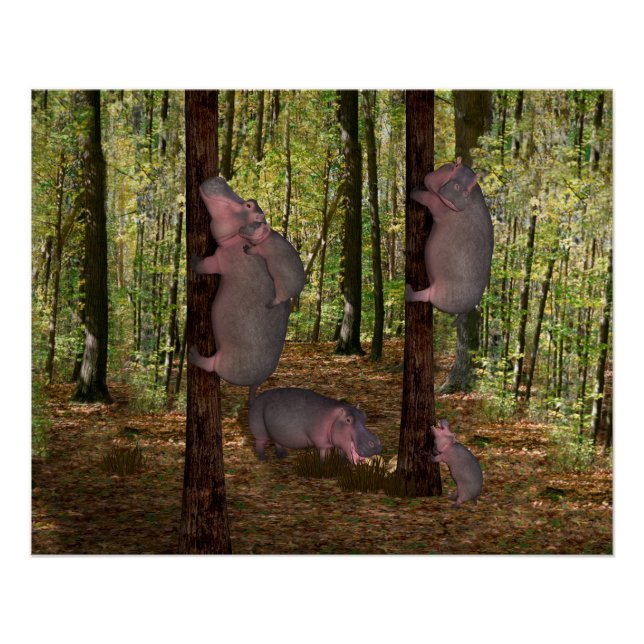 Póster Funny Koala-Wannabe Hippos (Frente)